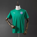 Camisa Treino 2025 Bahia Puma Verde
