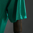 Camisa Treino 2025 Bahia Puma Verde