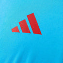 Regata do flamengo 2025/26 de treino