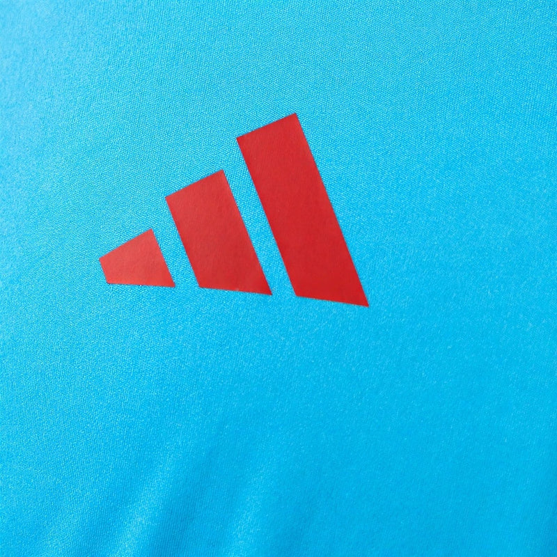 Regata do flamengo 2025/26 de treino